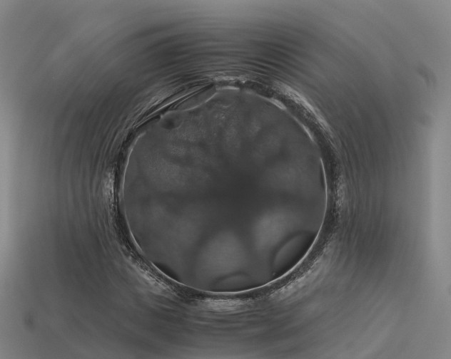 X0000113600825200909251154