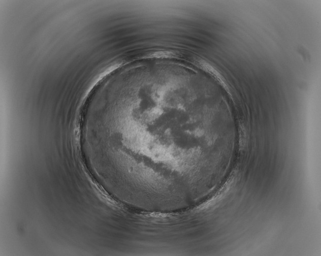 X0000113600827200909251154