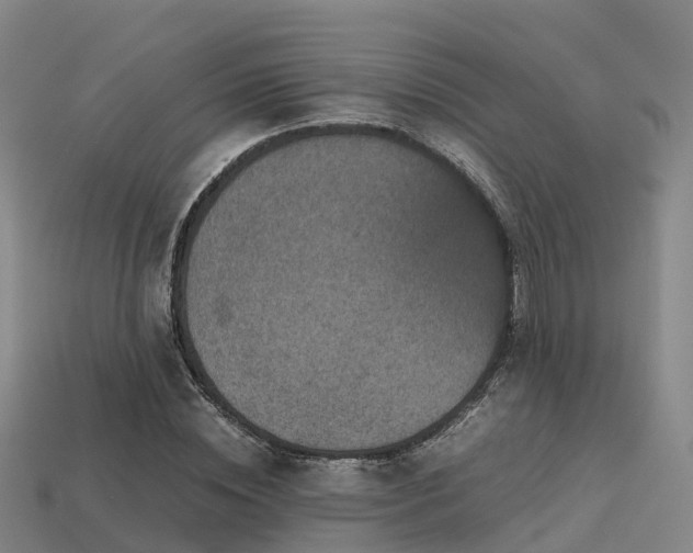 X0000113600828200909251154