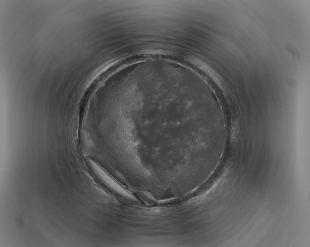 X0000113600829200909251154