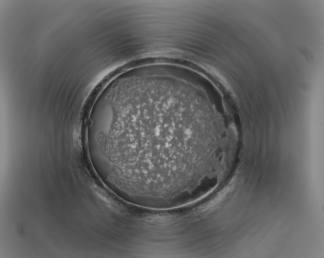 X0000113600830200909251154