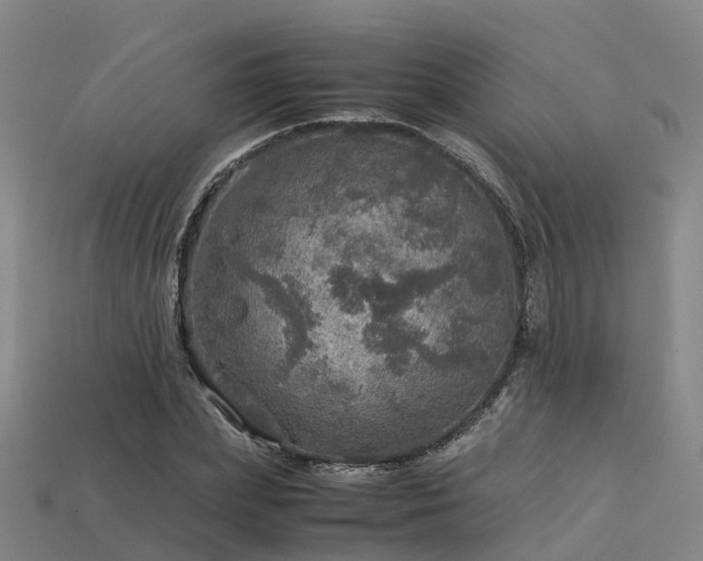 X0000113600831200909251154