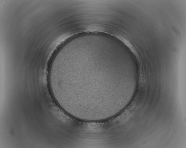 X0000113600832200909251154