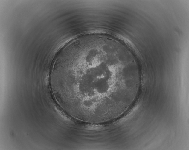 X0000113600833200909251154