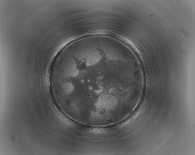 X0000113600835200909251154