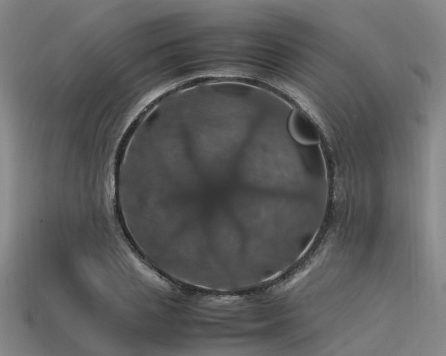 X0000113600837200909251154