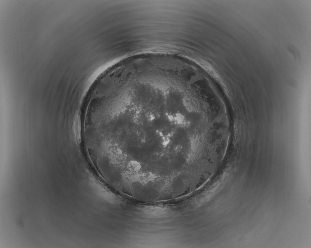 X0000113600838200909251154