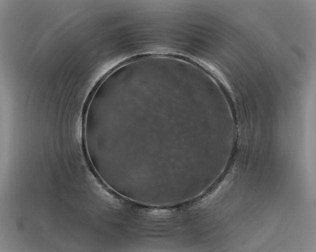 X0000113600839200909251154