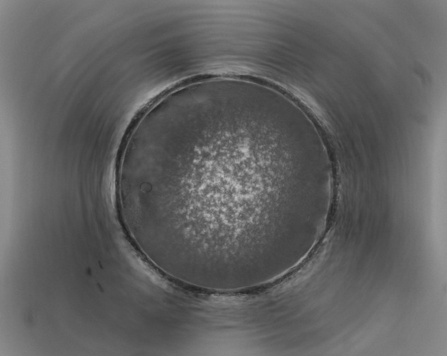 X0000113600840200909251154