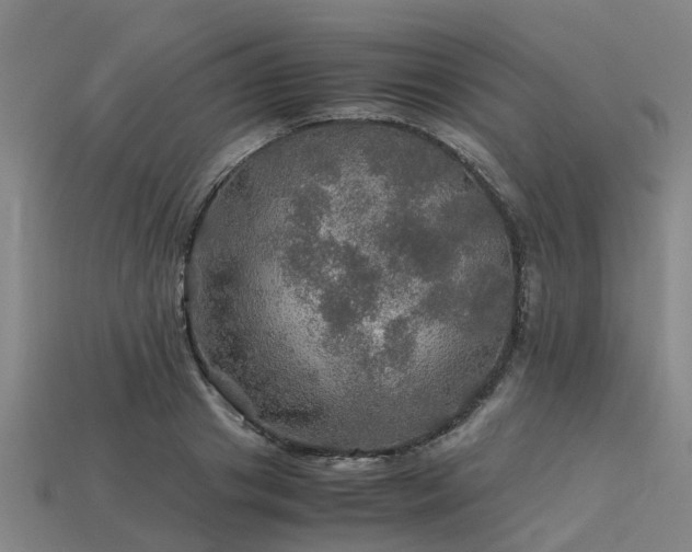 X0000113600841200909251154