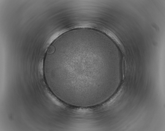 X0000113600842200909251154