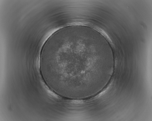 X0000113600844200909251154