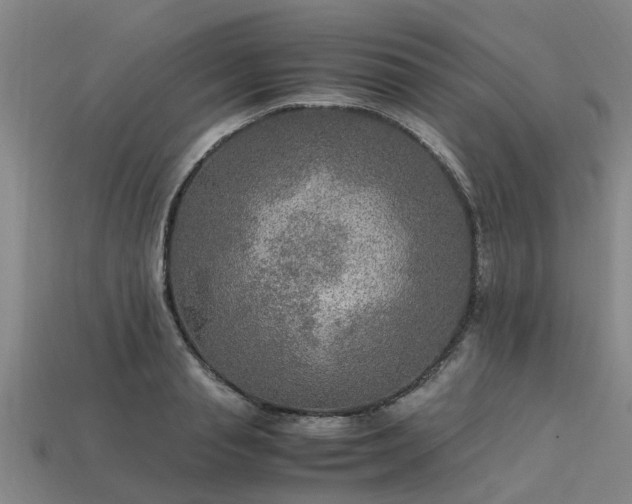 X0000113600845200909251154