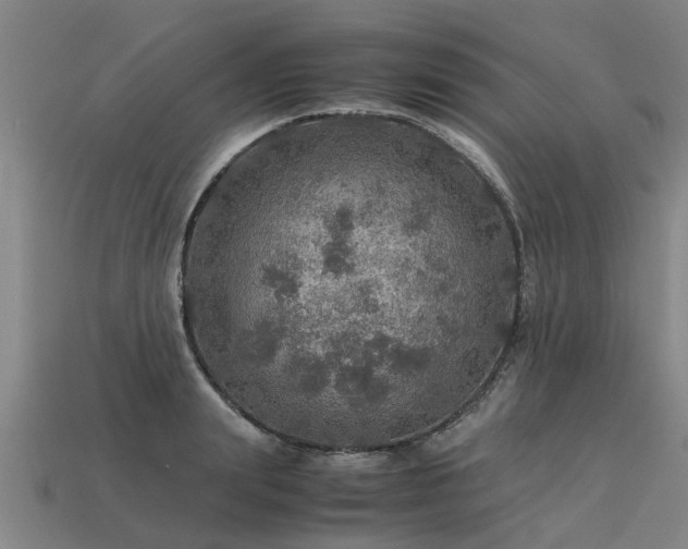 X0000113600847200909251154