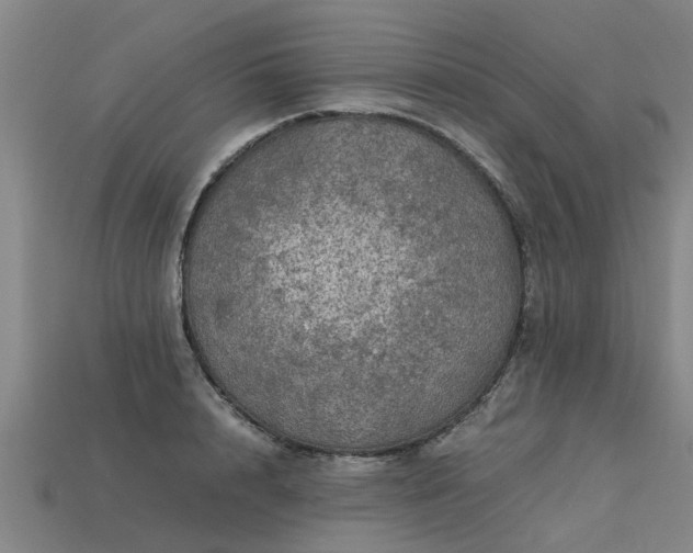 X0000113600848200909251154