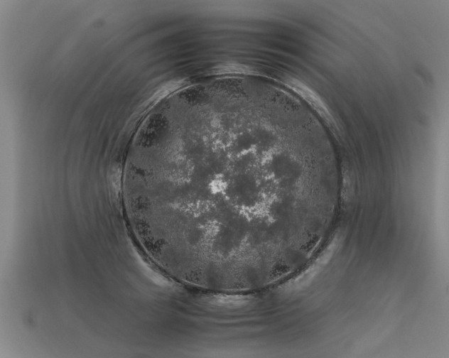 X0000113600849200909251154