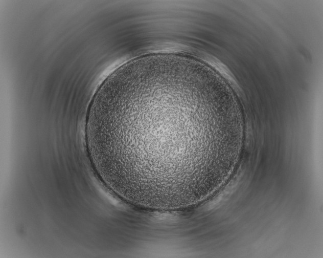 X0000113600850200909251154