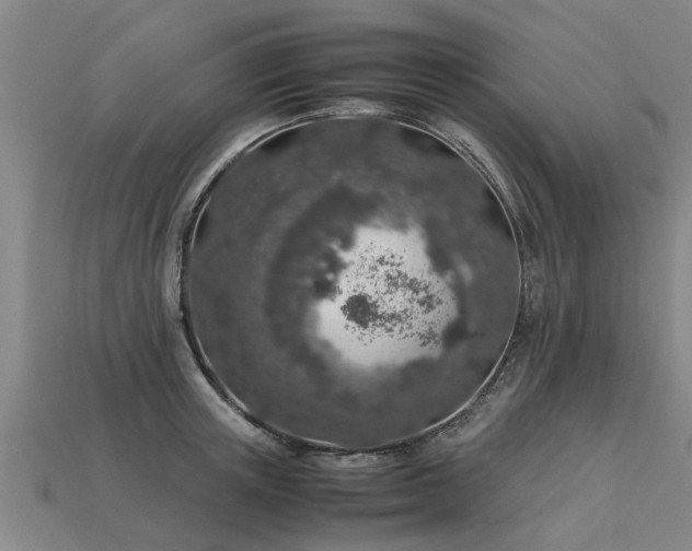 X0000113600851200909251154