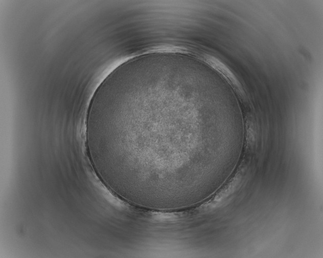 X0000113600852200909251154