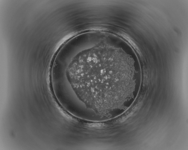 X0000113600853200909251154