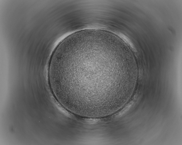 X0000113600854200909251154