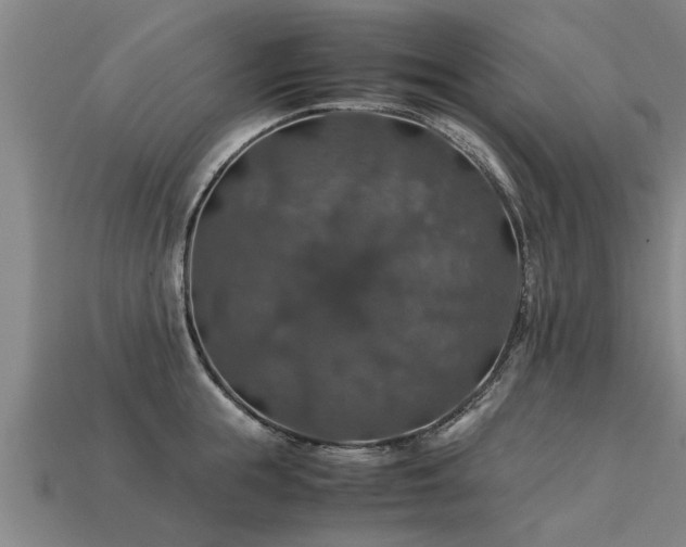 X0000113600855200909251154