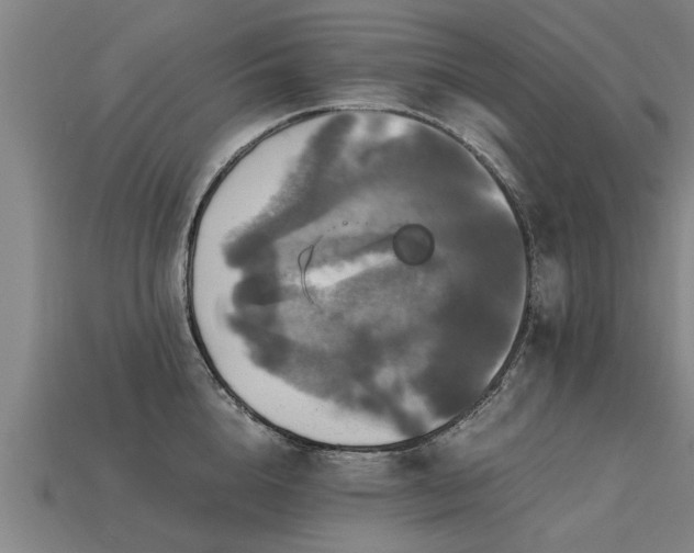 X0000113600856200909251154