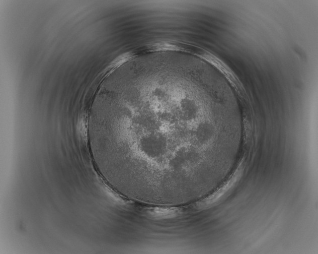 X0000113600857200909251154