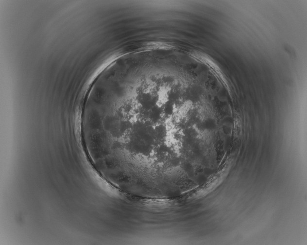 X0000113600859200909251154