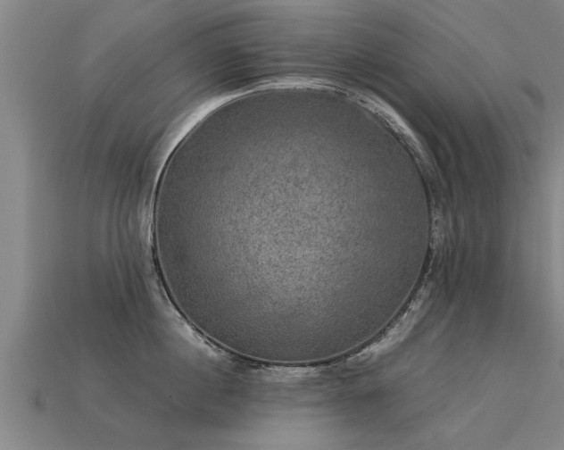 X0000113600860200909251154