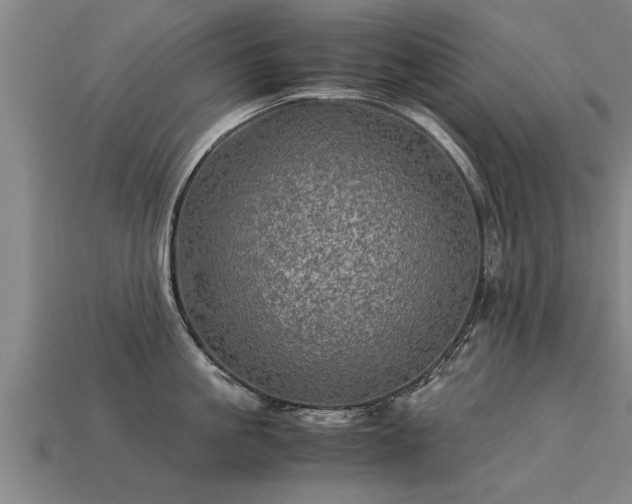 X0000113600861200909251155