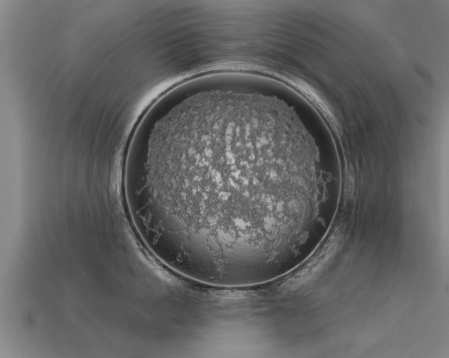 X0000113600862200909251155