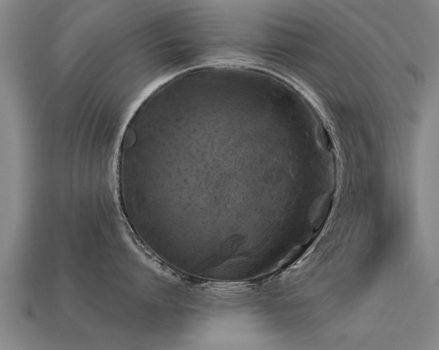 X0000113600864200909251155