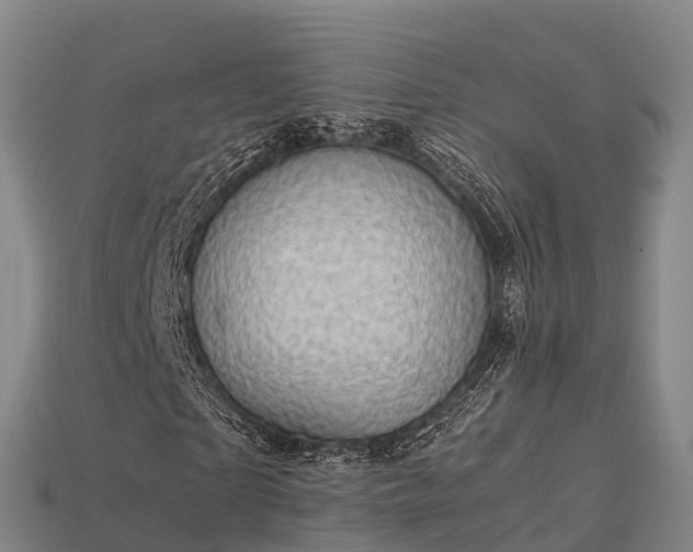 X0000113600865200909251154