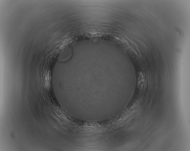 X0000113600866200909251154