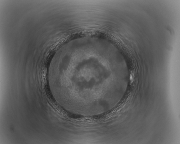 X0000113600867200909251154