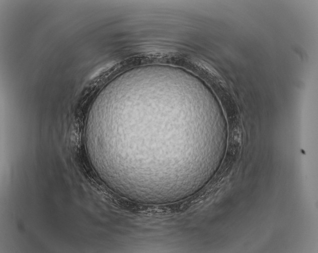 X0000113600869200909251154