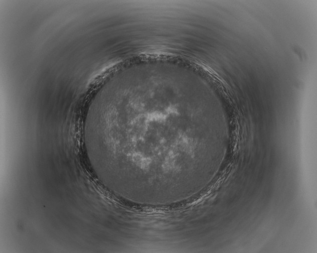 X0000113600870200909251154