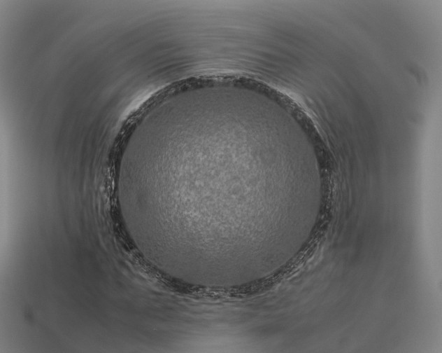 X0000113600871200909251154