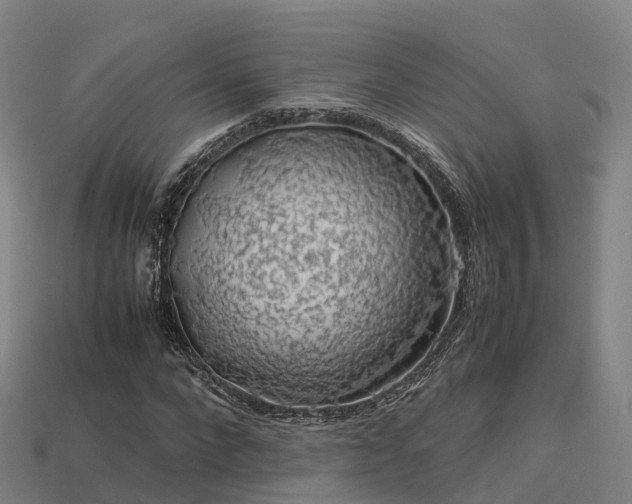 X0000113600872200909251154