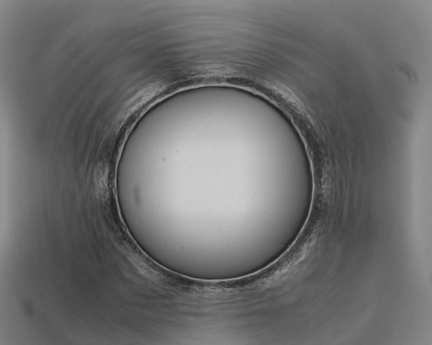 X0000113600873200909251154