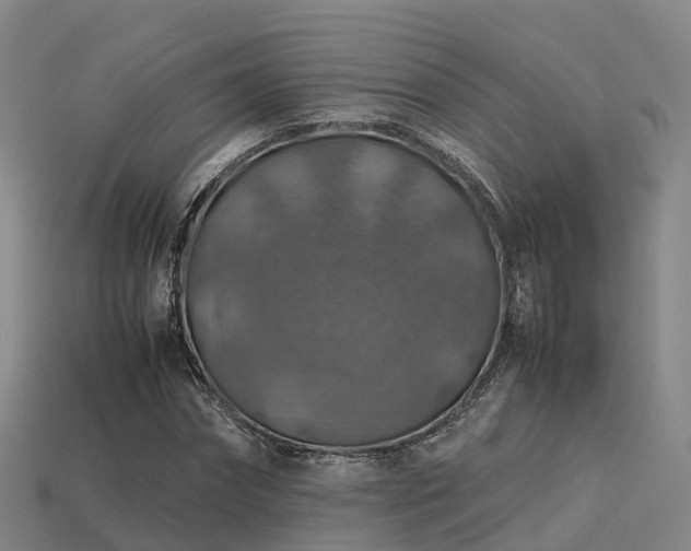 X0000113600874200909251154