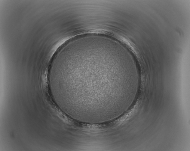 X0000113600875200909251154