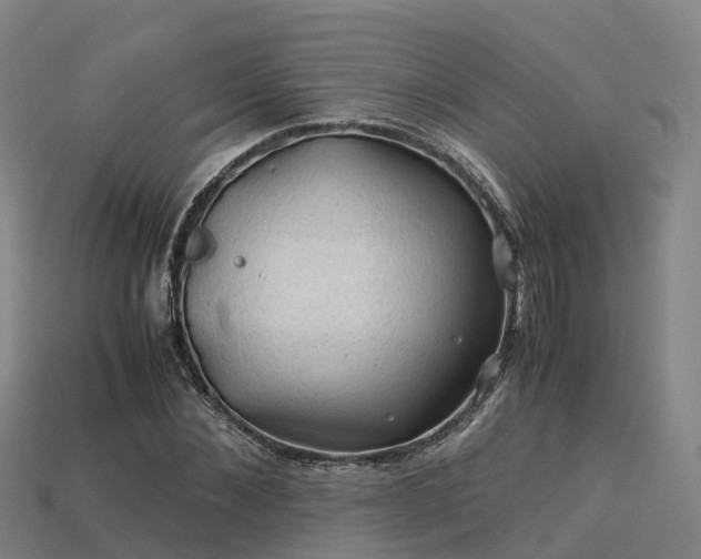 X0000113600876200909251154