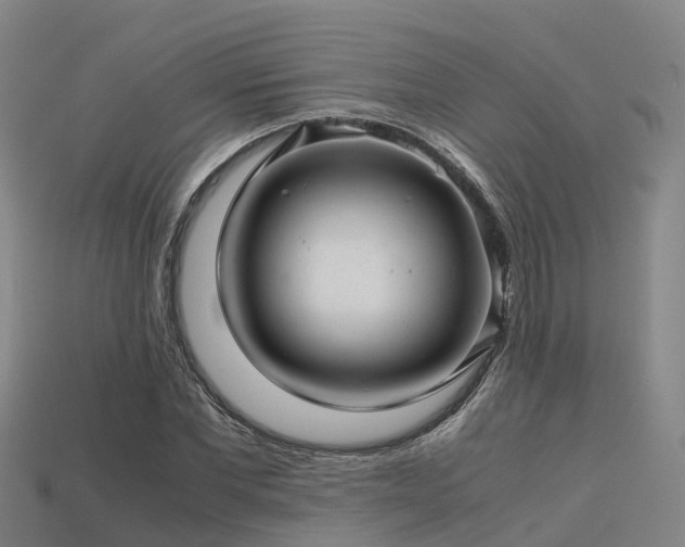 X0000113600877200909251154