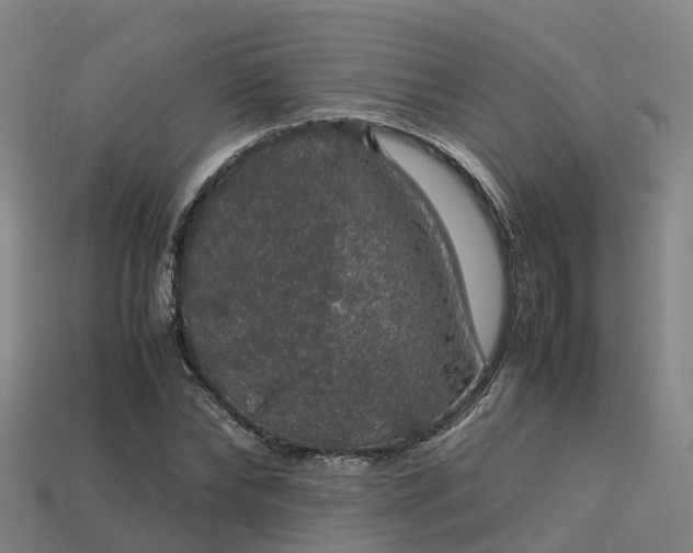 X0000113600878200909251154