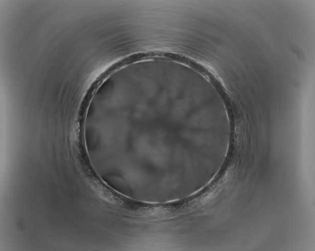 X0000113600879200909251154