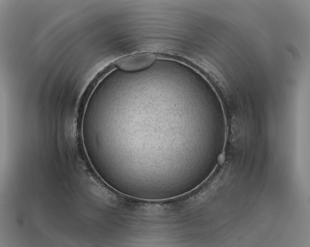 X0000113600880200909251154