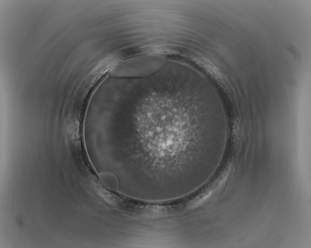 X0000113600881200909251154