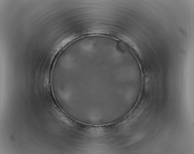 X0000113600882200909251154